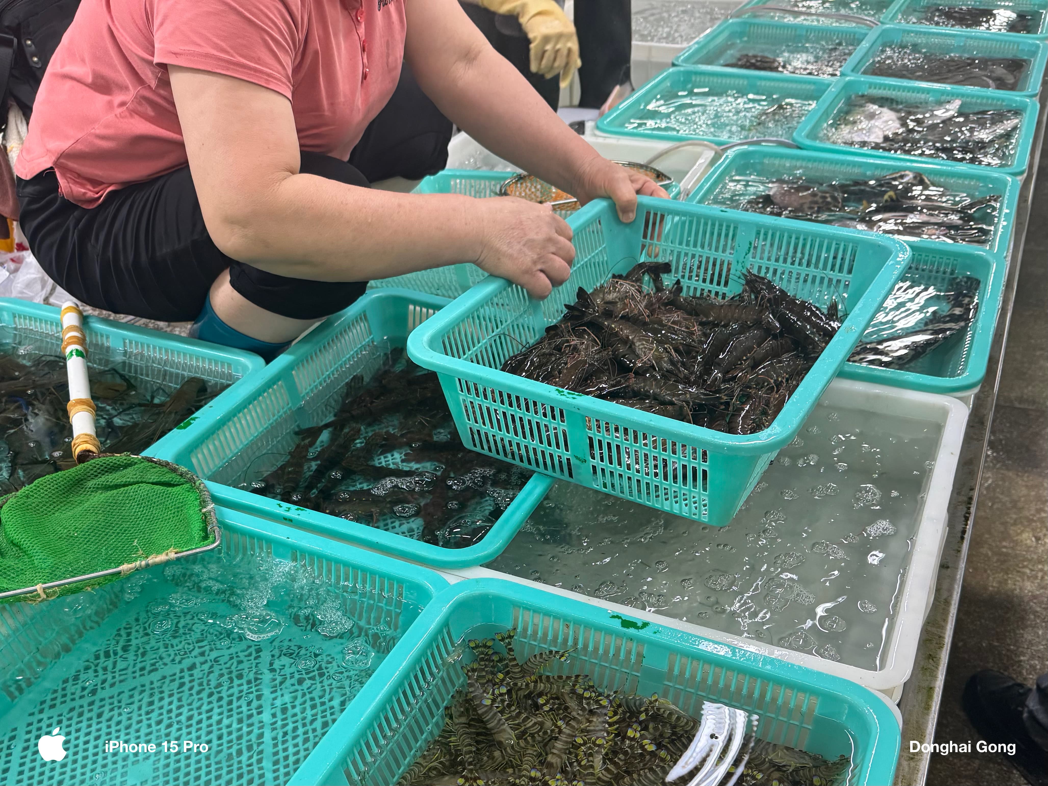 珠海·白藤头水产批发市场